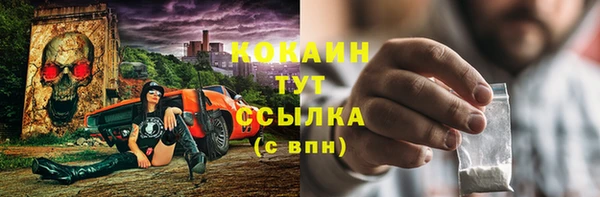 мдпв Киреевск